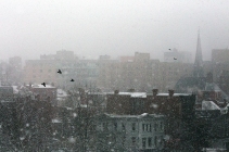 Snowfall in D.C.